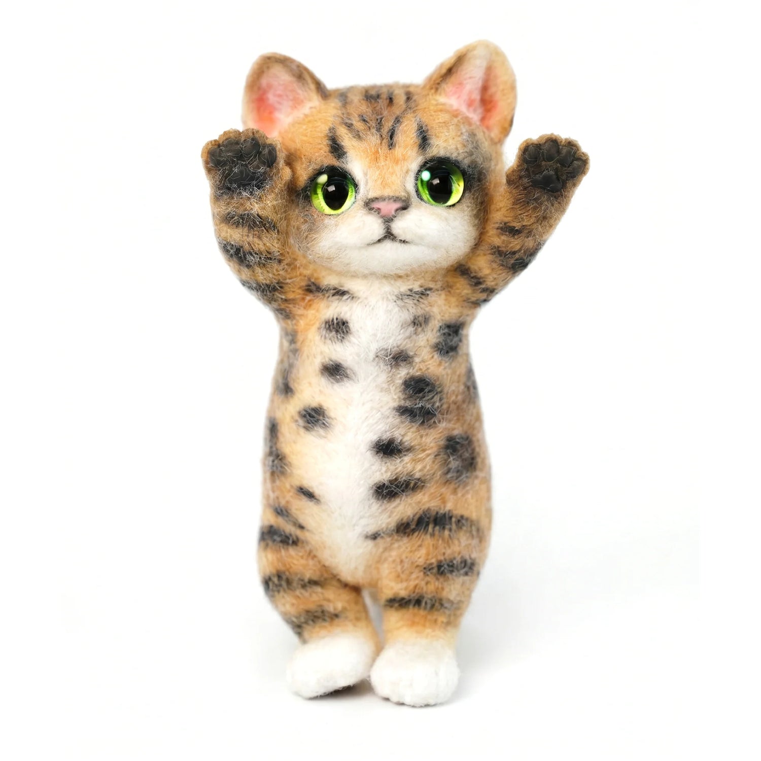 Slim Cats Series
