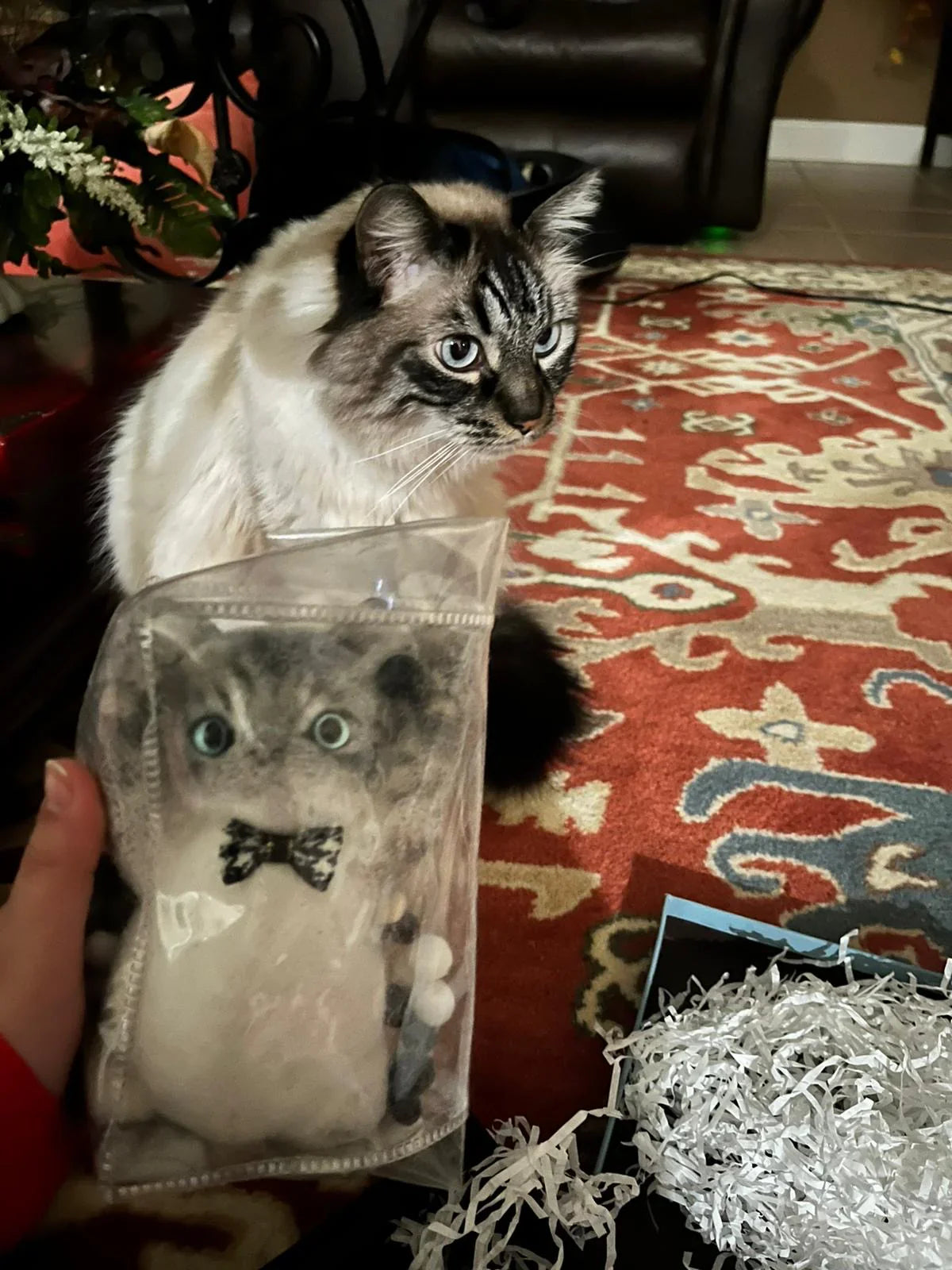 Customized cat