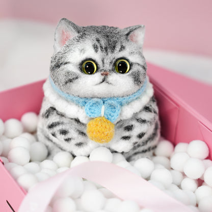 B09:Tabby cat