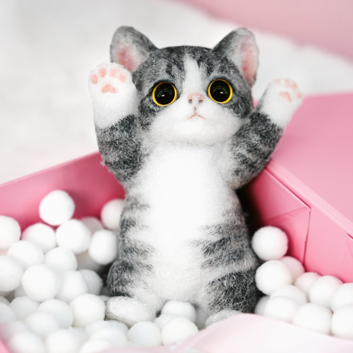 B07:American Shorthair