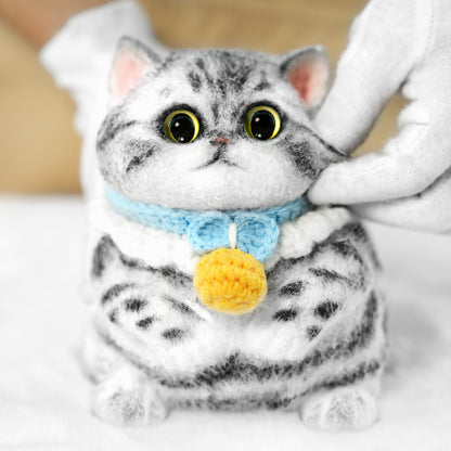 B09:Tabby cat