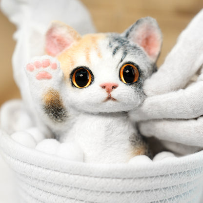 B06:Calico cat
