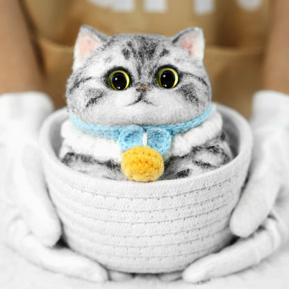 B09:Tabby cat