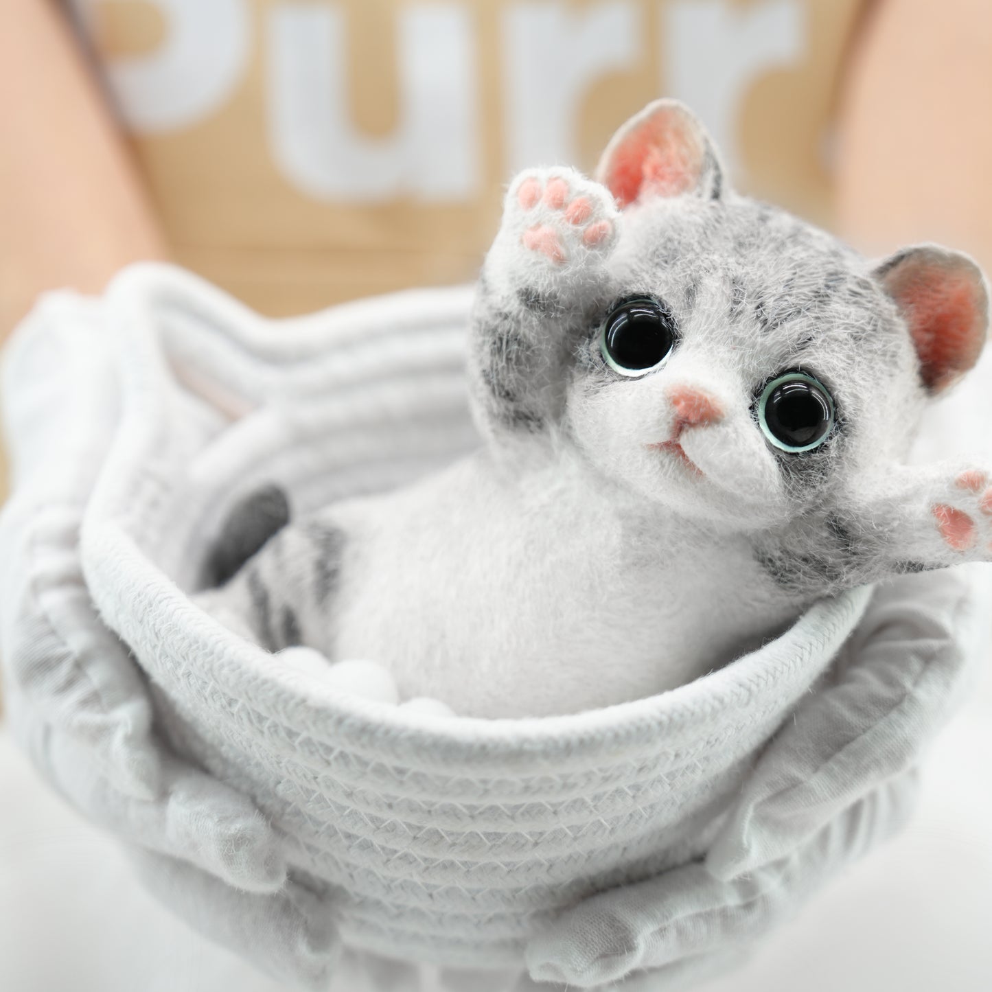 Close-up of cute plush kitten with pink paw pads and fluffy fur