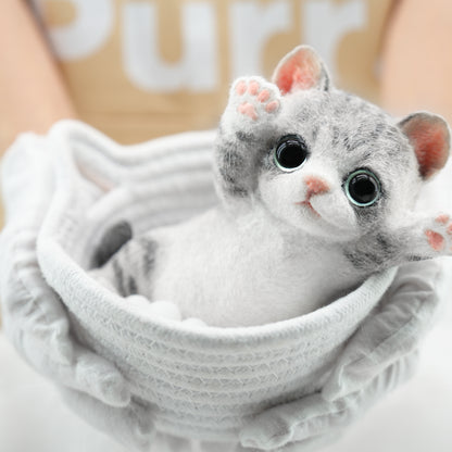 Close-up of cute plush kitten with pink paw pads and fluffy fur