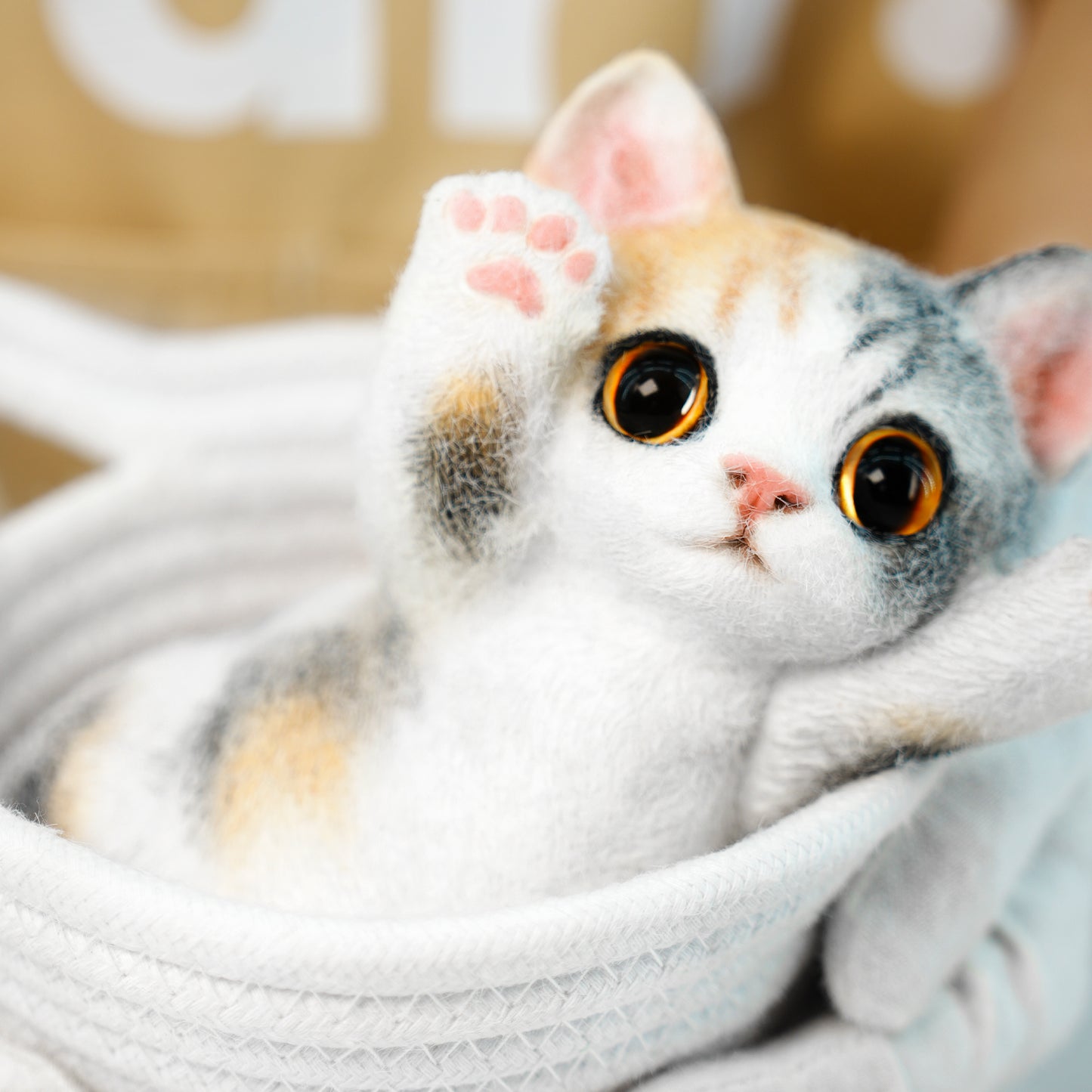 B06:Calico cat