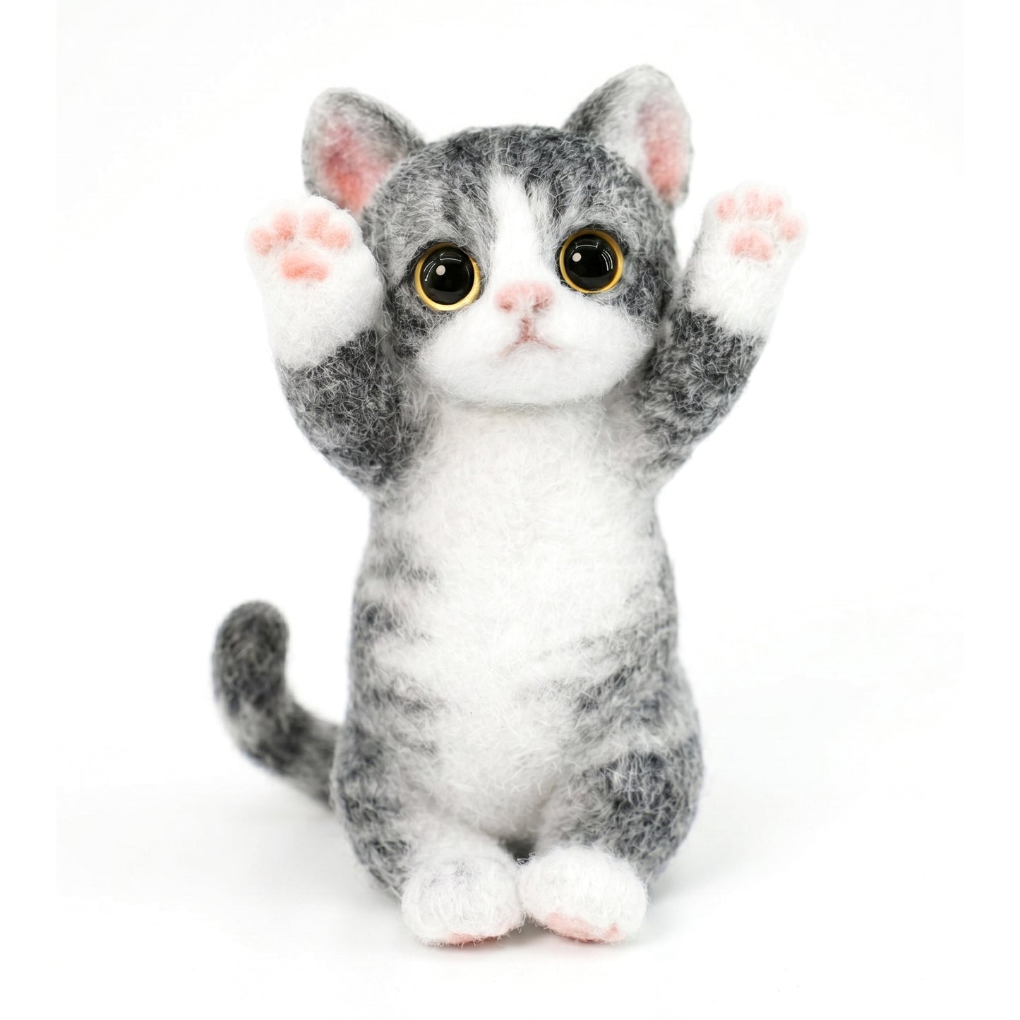 B07:American Shorthair