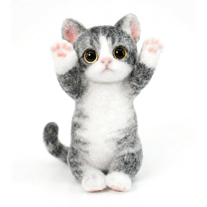 B07:American Shorthair