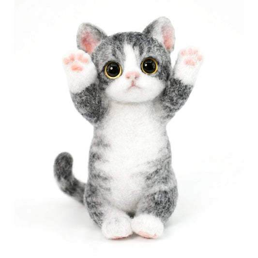 B07:American Shorthair