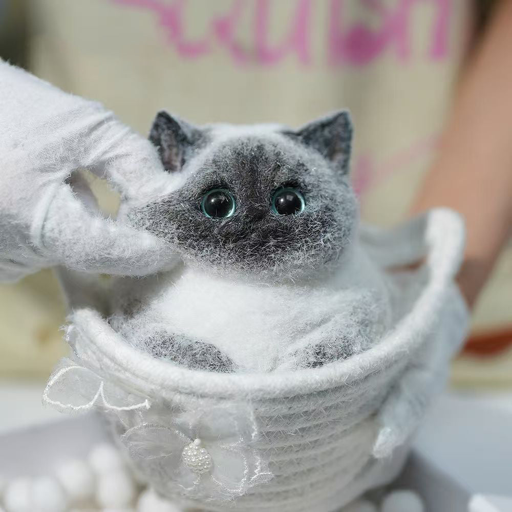 Siamese cat