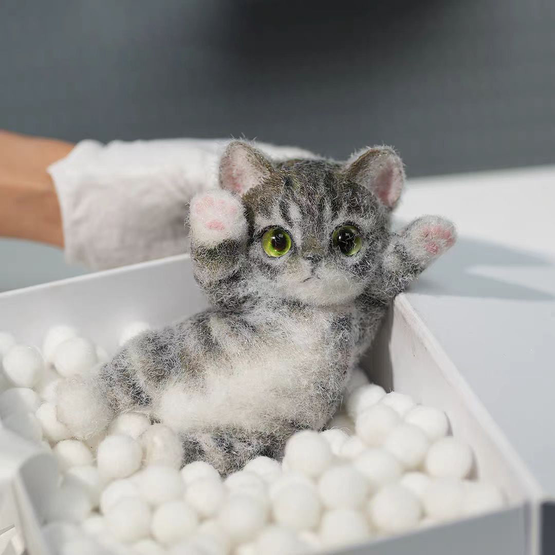 American-shorthair
