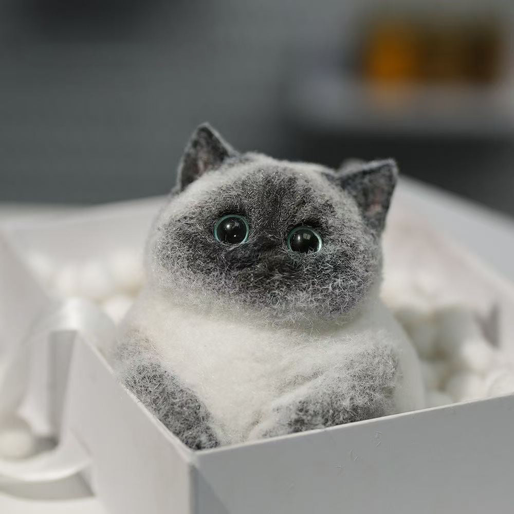 Siamese cat