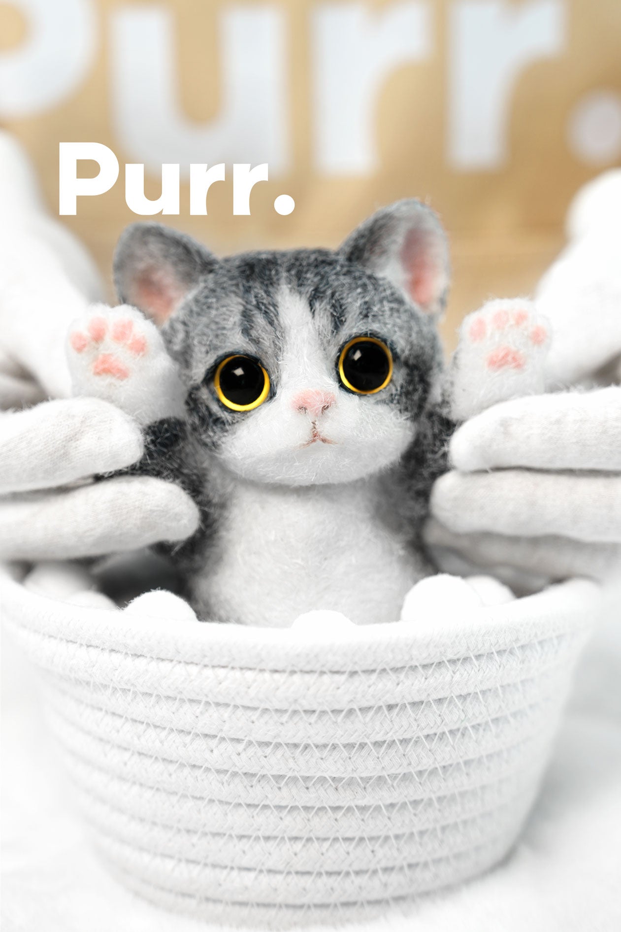 B07:American Shorthair