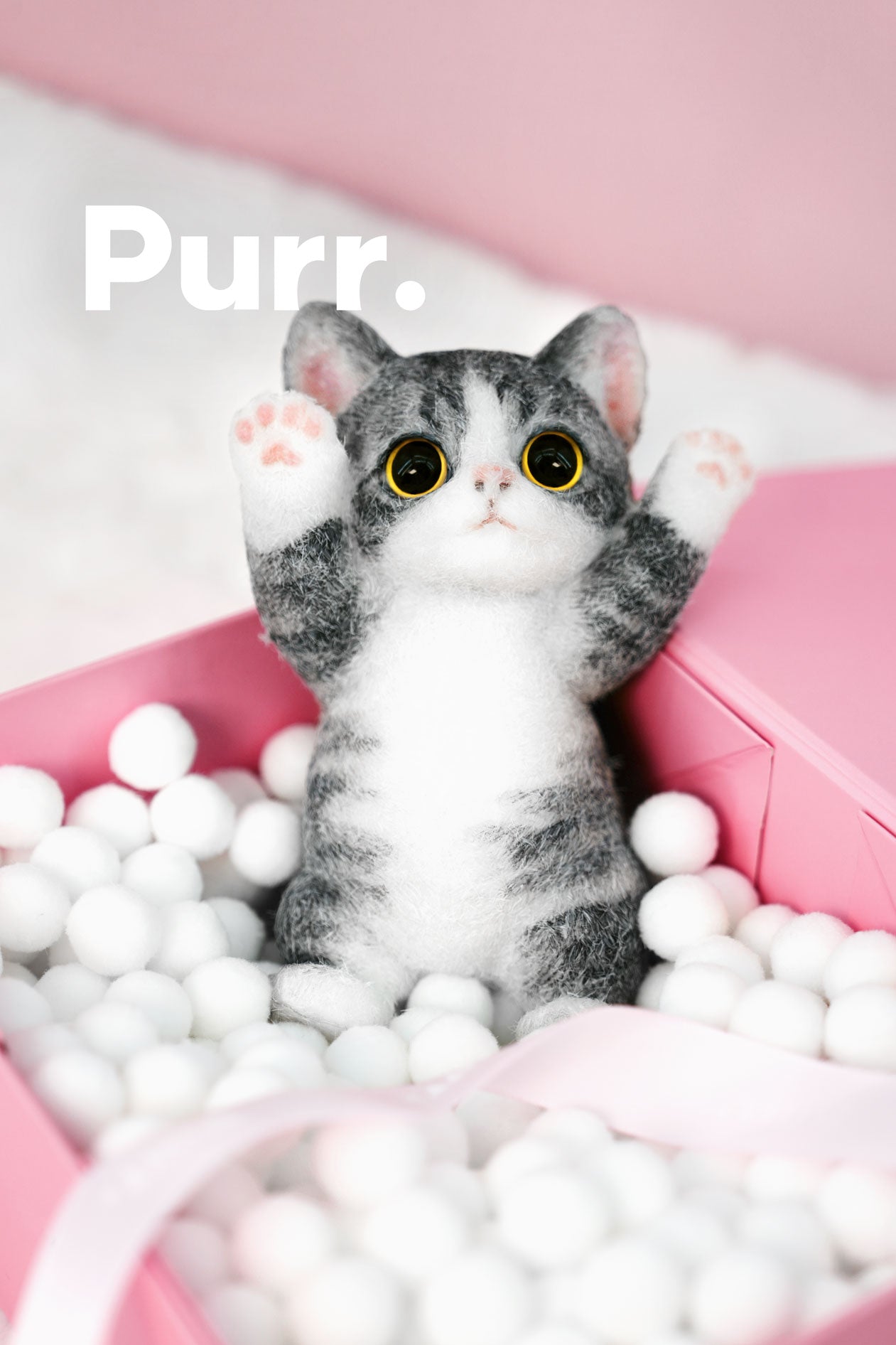 B07:American Shorthair