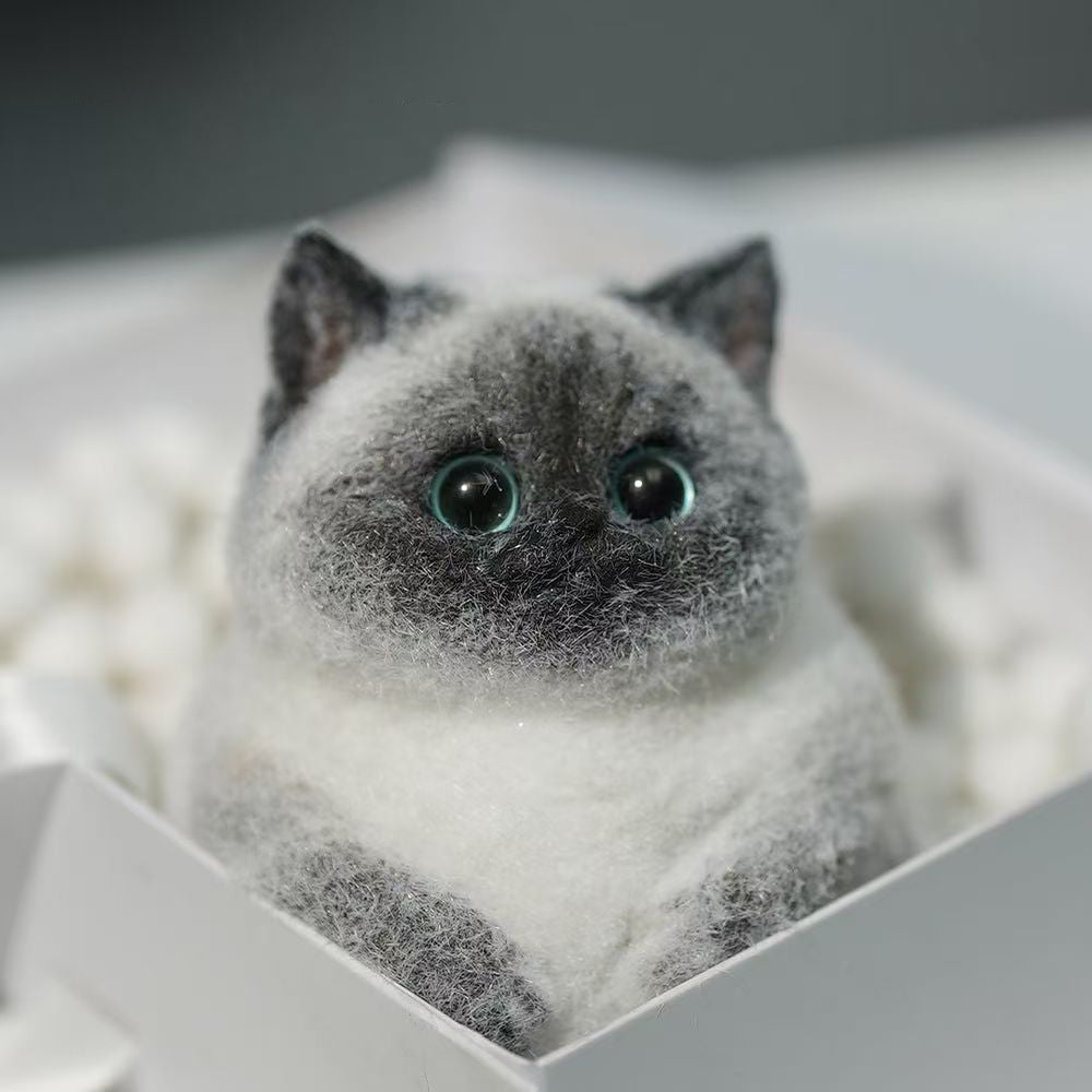 Siamese cat