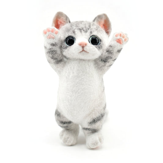 B02:American-shorthair