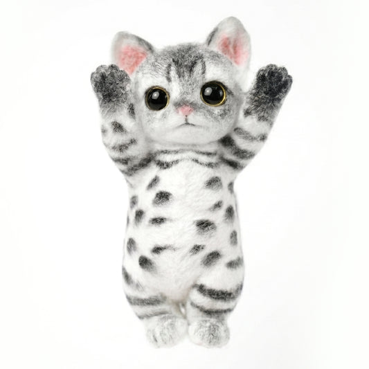B04:Tabby cat