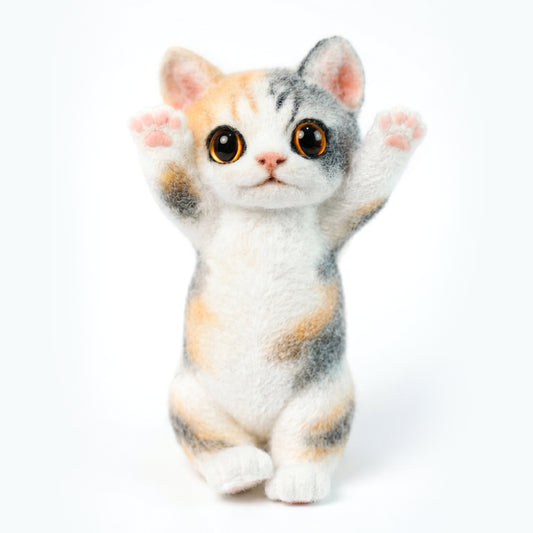 B06:Calico cat