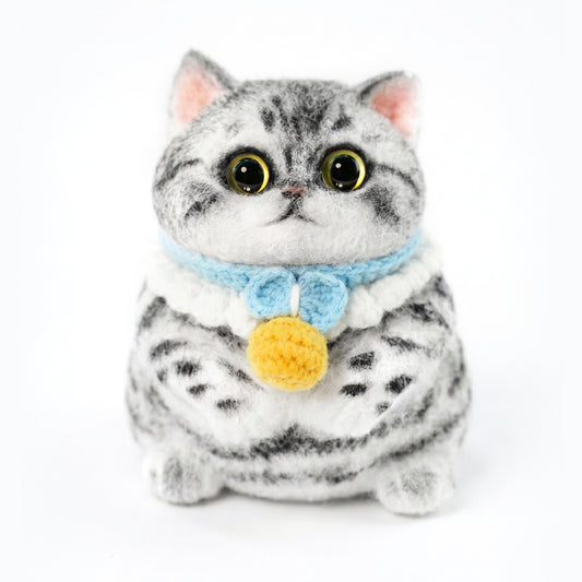 B09:Tabby cat