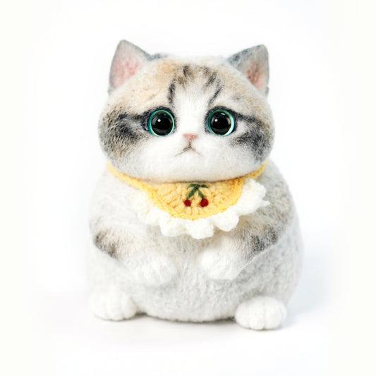 Cute plush ragdoll kitten with big eyes and soft fur