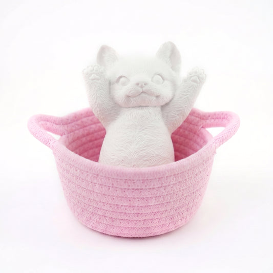 C02:Soft and Cute Slim Cat DIY Kit (Including 48 items)