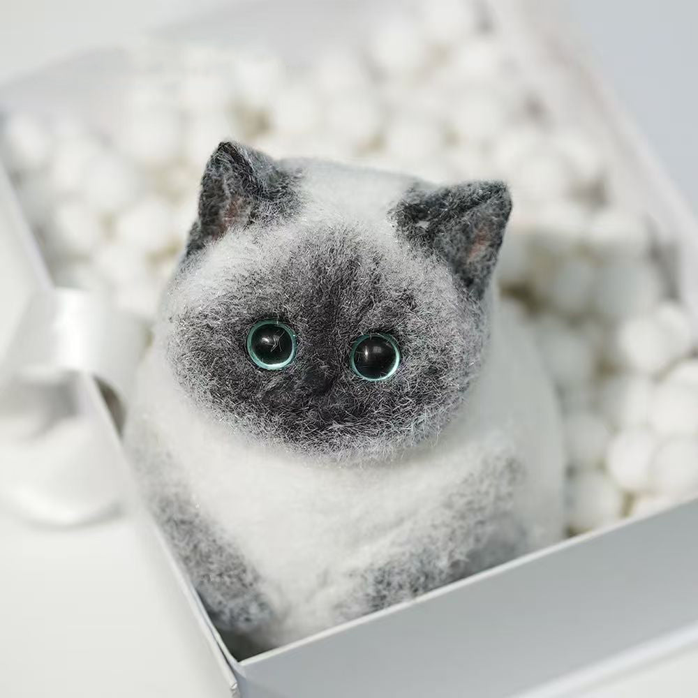 Siamese cat