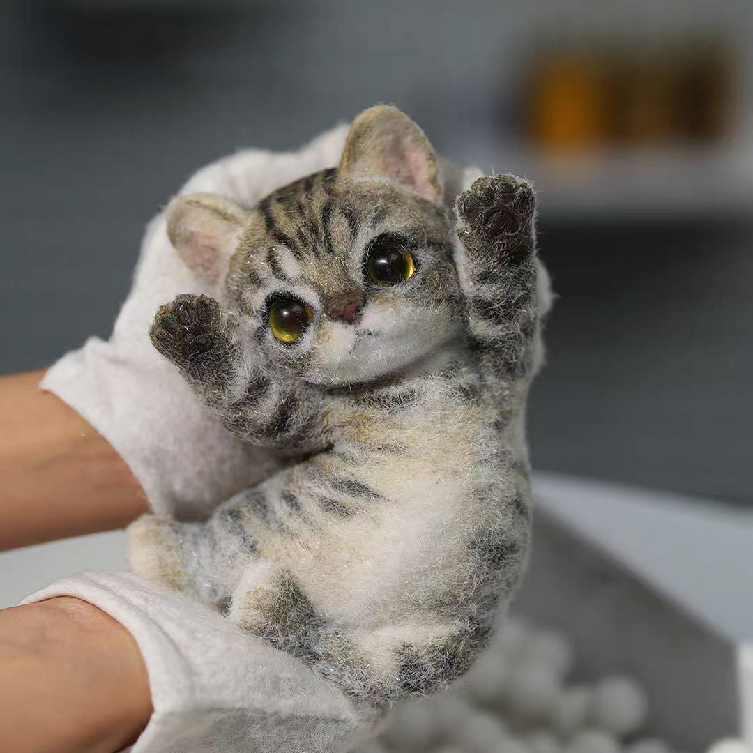 American-shorthair