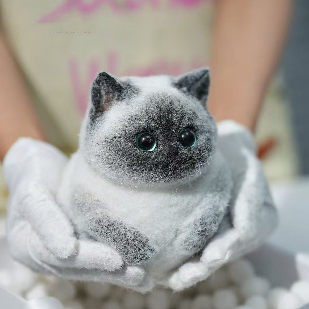 Siamese cat